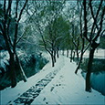 原野云上 | 风景建筑摄影 作品缩略图053